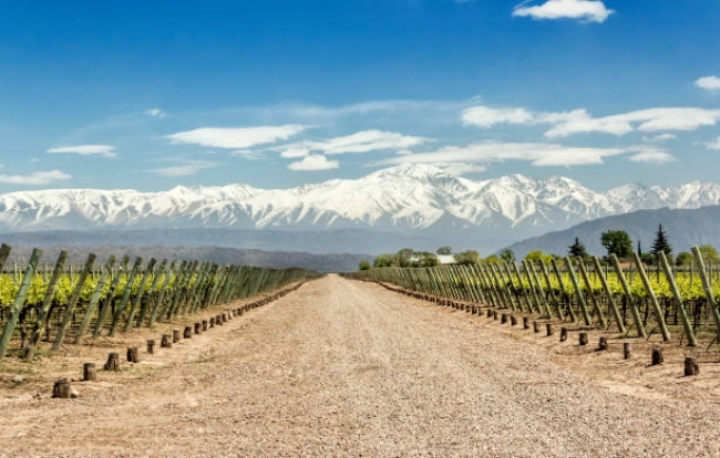 Mendoza y San Rafael 